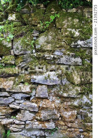 Stone wall with musk 21392755