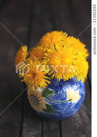 Dandellions on wooden background Dandellions on wooden background 21392848