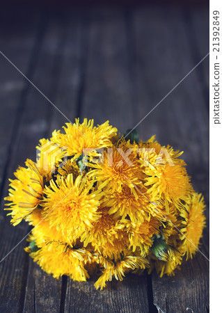 Dandellion bouquet on rustic wood Dandellion bouquet on rustic wood 21392849