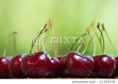 Ripe sweet cherries on green 21392916