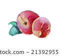 Peach hand drawn watercolor, on a white background 21392955