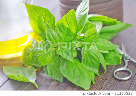 basil basil 21393522