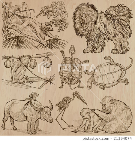 Animals - hand drawn vector pack Animals - hand drawn vector pack 21394074