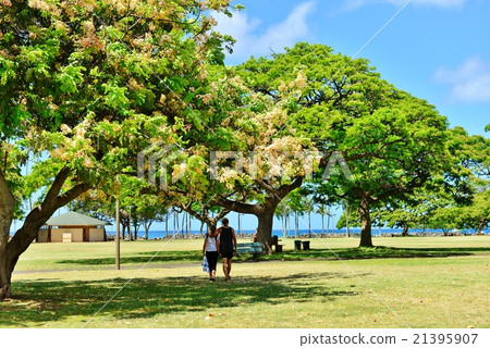 Holidays in Hawaii Holidays in Hawaii 21395907