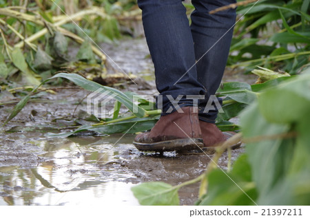 走進泥裡 21397211