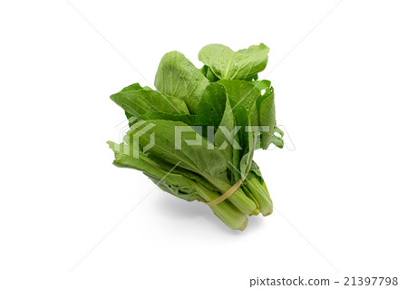 Bunch of organic Pak Choi on white background Bunch of organic Pak Choi on white background 21397798