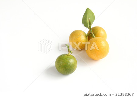 Kumquat on white background 21398367