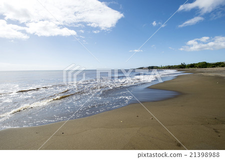 Lucy Light Beach, Kauai, Hawaii 21398988