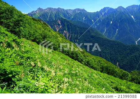 Yagisugatake and Kobaiskeishou community seen from Kasa Shindo / Pedorihei 21399388