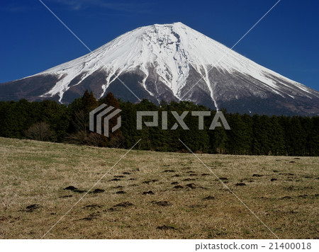 朝霧高原的富士 朝霧高原的富士 21400018