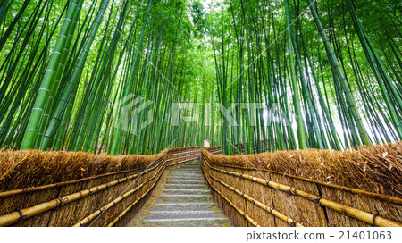 Path to bamboo forest, Arashiyama, Kyoto, Japan Path to bamboo forest, Arashiyama, Kyoto, Japan 21401063