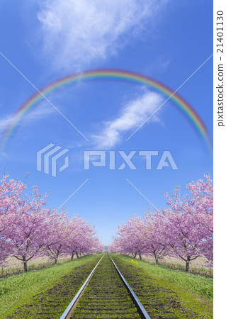 Bridge of Rainbow and Railway Track of Kawazu Sakura 21401130