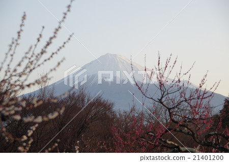 Mount Fuji  21401200