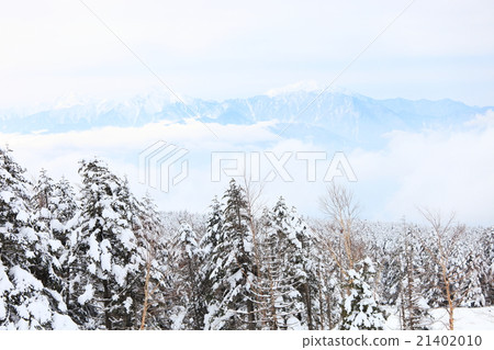 在冬天的山 在冬天的山 21402010