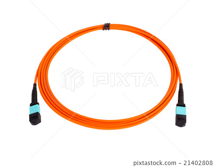 fiber optic MTP (MPO) pigtail, patchcord 21402808