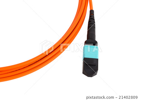 fiber optic MTP (MPO) pigtail, patchcord fiber optic MTP (MPO) pigtail, patchcord 21402809