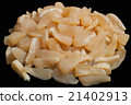 Scallop of shellfish 21402913