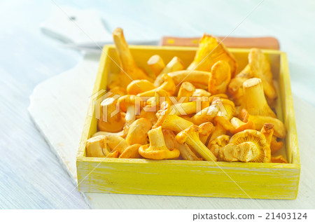 mushrooms mushrooms 21403124