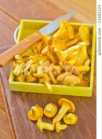 mushrooms mushrooms 21403125