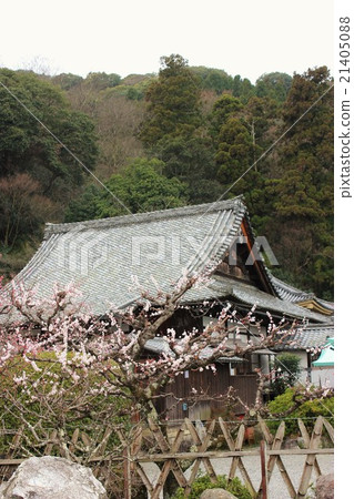 Kyoto Horinji Temple Kyoto Horinji Temple 21405088