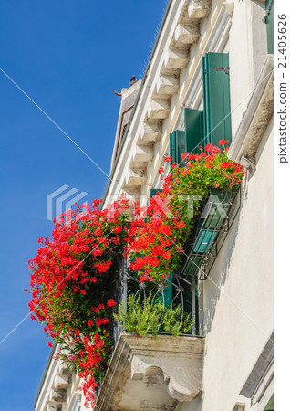 Flowers on windowsill and balcony in bright sun 21405626