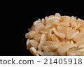 Scallop of shellfish 2 21405918