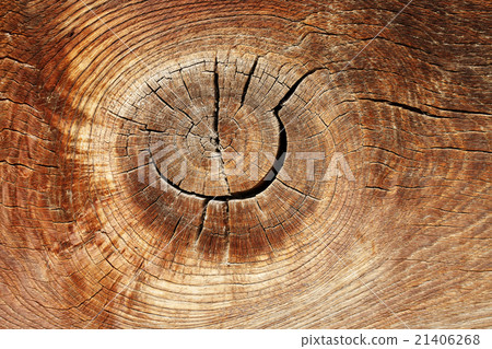 Vintage wood texture, abstract background, grunge 21406268