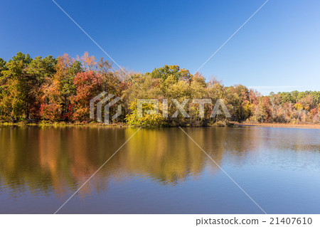 Arkansas fall landscape in Petit Jean state park 21407610