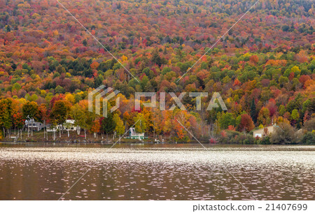 Beautiful autumn foliage and cabins in Vermont Beautiful autumn foliage and cabins in Vermont 21407699