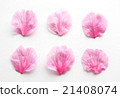 櫻桃花瓣 21408074