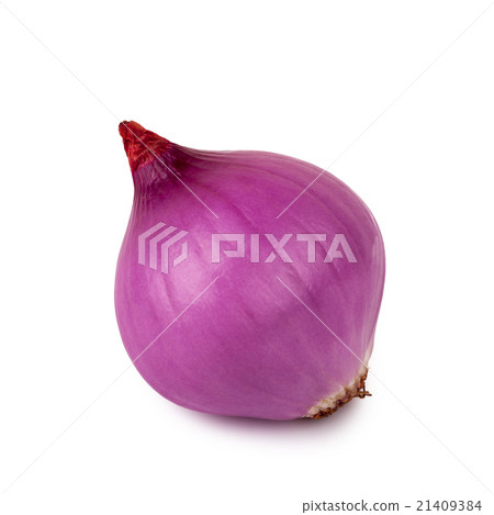 red onion bulb on white red onion bulb on white 21409384