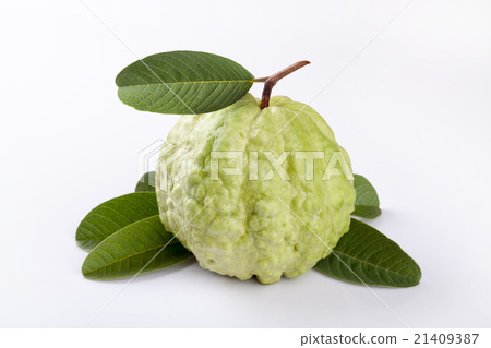 Fresh guava on white background Fresh guava on white background 21409387