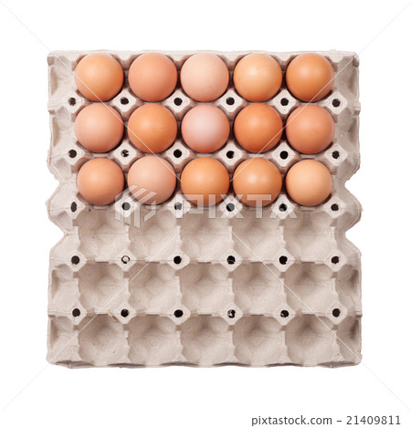 Eggs in paper tray 21409811
