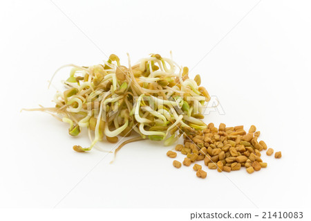 發芽的葫蘆巴（methi） 21410083