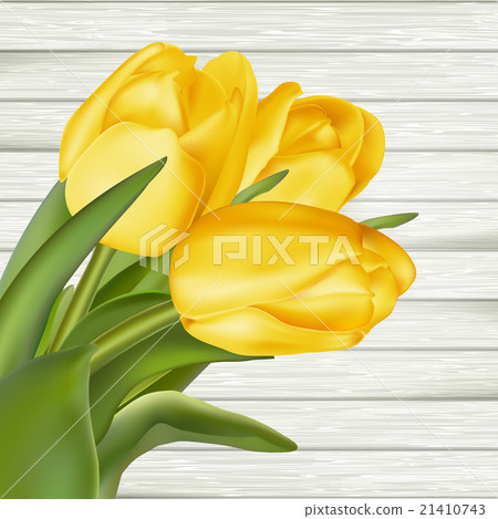 Yellow tulips. EPS 10 Yellow tulips. EPS 10 21410743