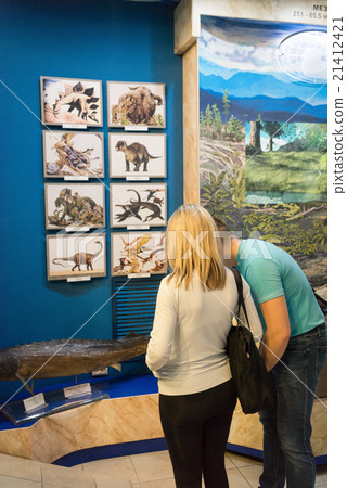 rear view of people in museum 21412421