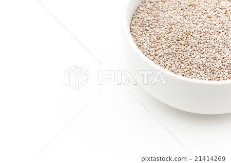 Salva Chia Seed: Salba Chia Seeds Salva Chia Seed: Salba Chia Seeds 21414269