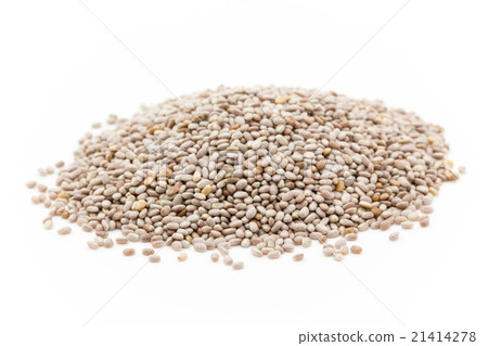 Salva Chia Seed: Salba Chia Seeds 21414278