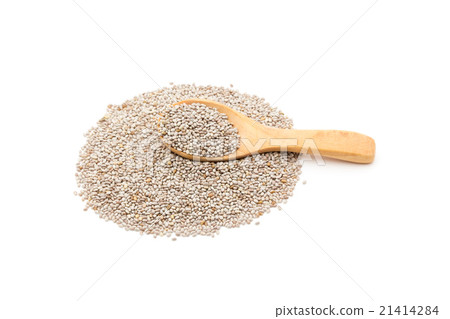 Salva Chia Seed: Salba Chia Seeds Salva Chia Seed: Salba Chia Seeds 21414284