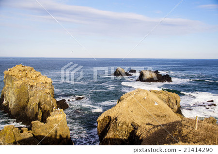 Kiritappu Cape Yuzenaki（濱中町） 21414290