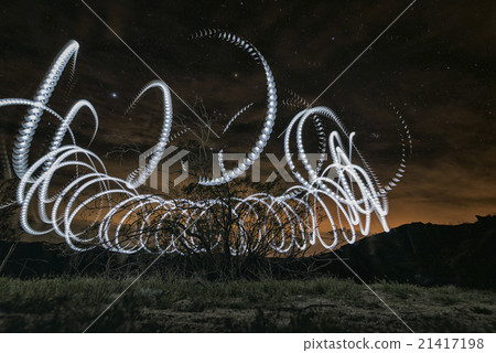 Night in the Anza-Borrego Desert 21417198