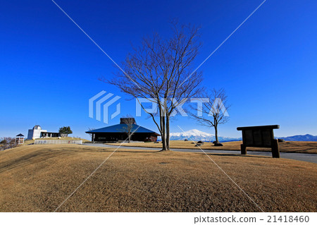 廣場森林傳單和森林學習展覽館 21418460