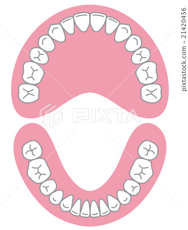 Tooth alignment 21420456