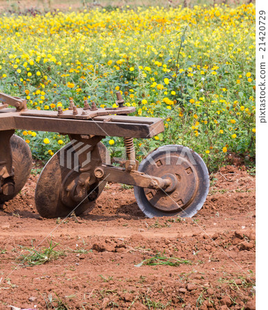 Tractor in flower garden 21420729