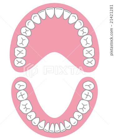 牙齒對齊 21421281