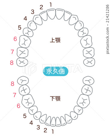 Number of teeth aligned 21421286