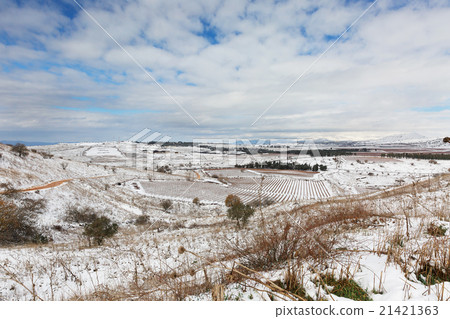 winter landscape 21421363