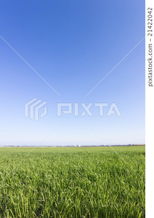 米領域藍天背景背景材料 21422042