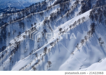 Echigo's winter mountain Echigo's winter mountain 21422068
