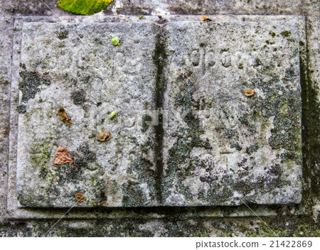 Stony book sculpture on the old gravestone Stony book sculpture on the old gravestone 21422869